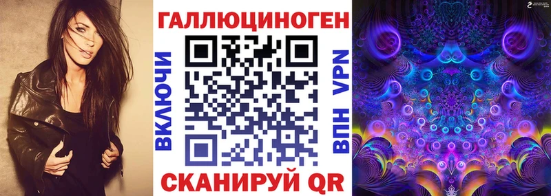 где найти Плёс Псилоцибиновые грибы Psilocybine cubensis